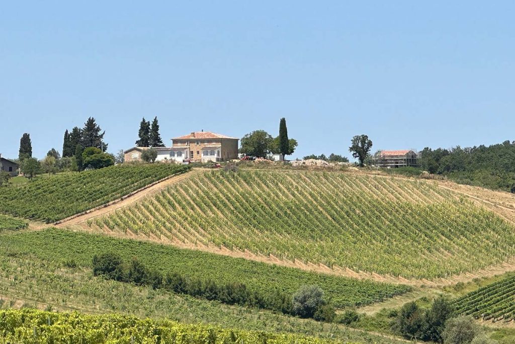 Degustazione vini al Podere Olmo - Misciattelli House